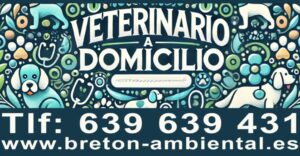 Fiestas Guadalupe Murcia Calendario Oficial breton.ambiental